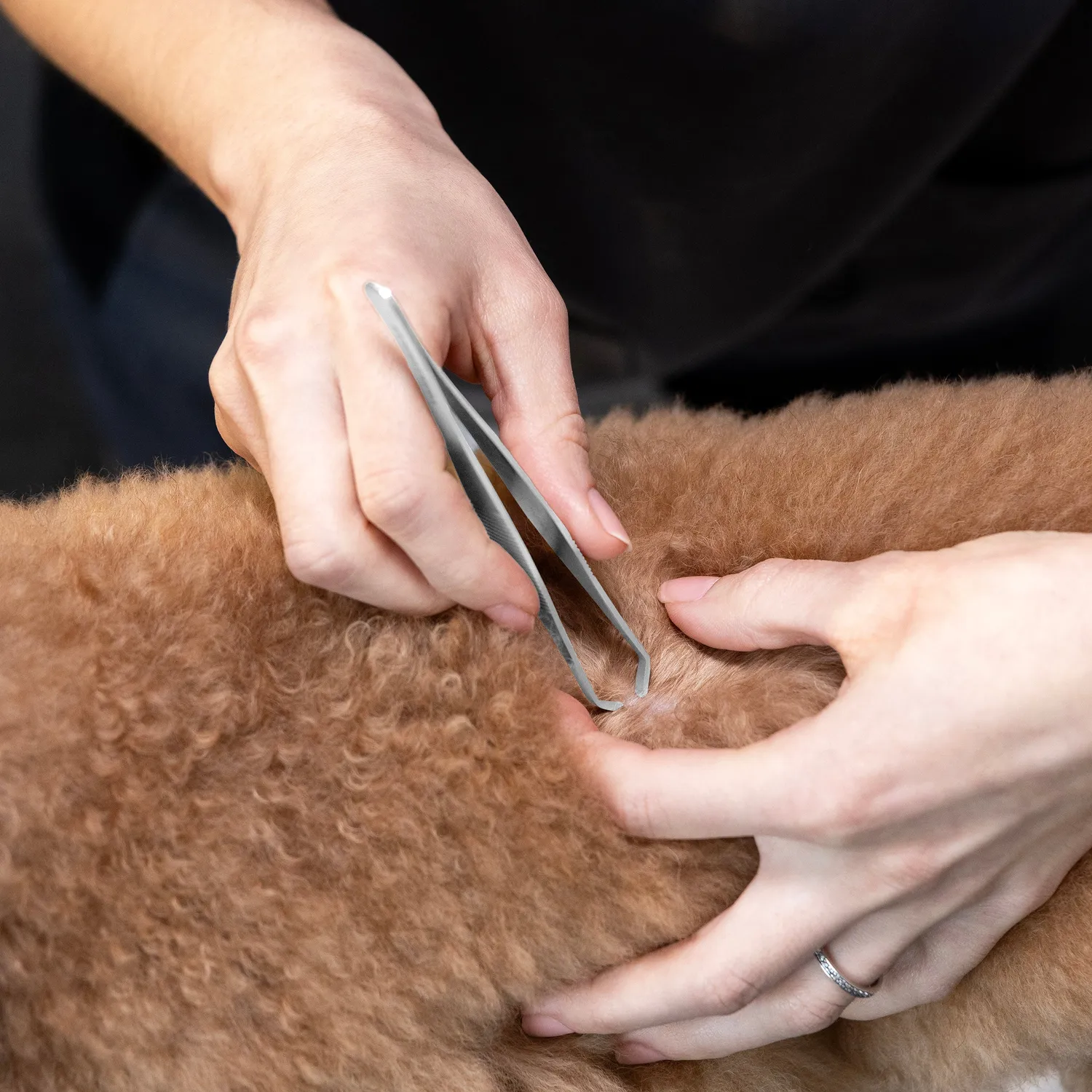 Tweezerman Tick Removal fästingpincett husdjur