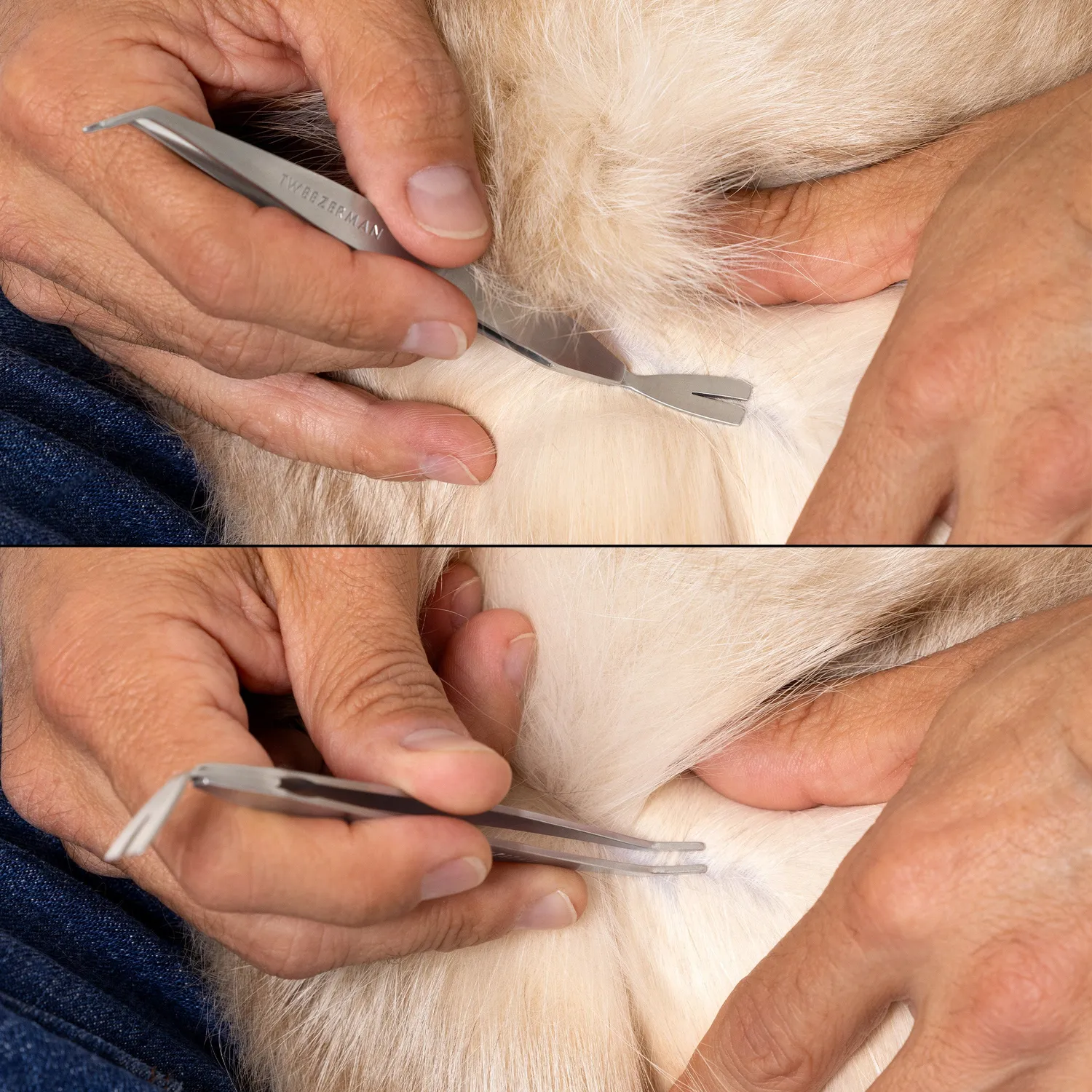 Tweezerman Tick Removal fästingpincett kit 2-delat