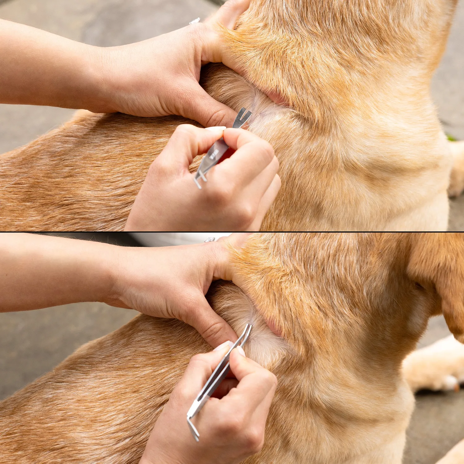 Tweezerman Tick Removal fästingpincett kit 2-delat