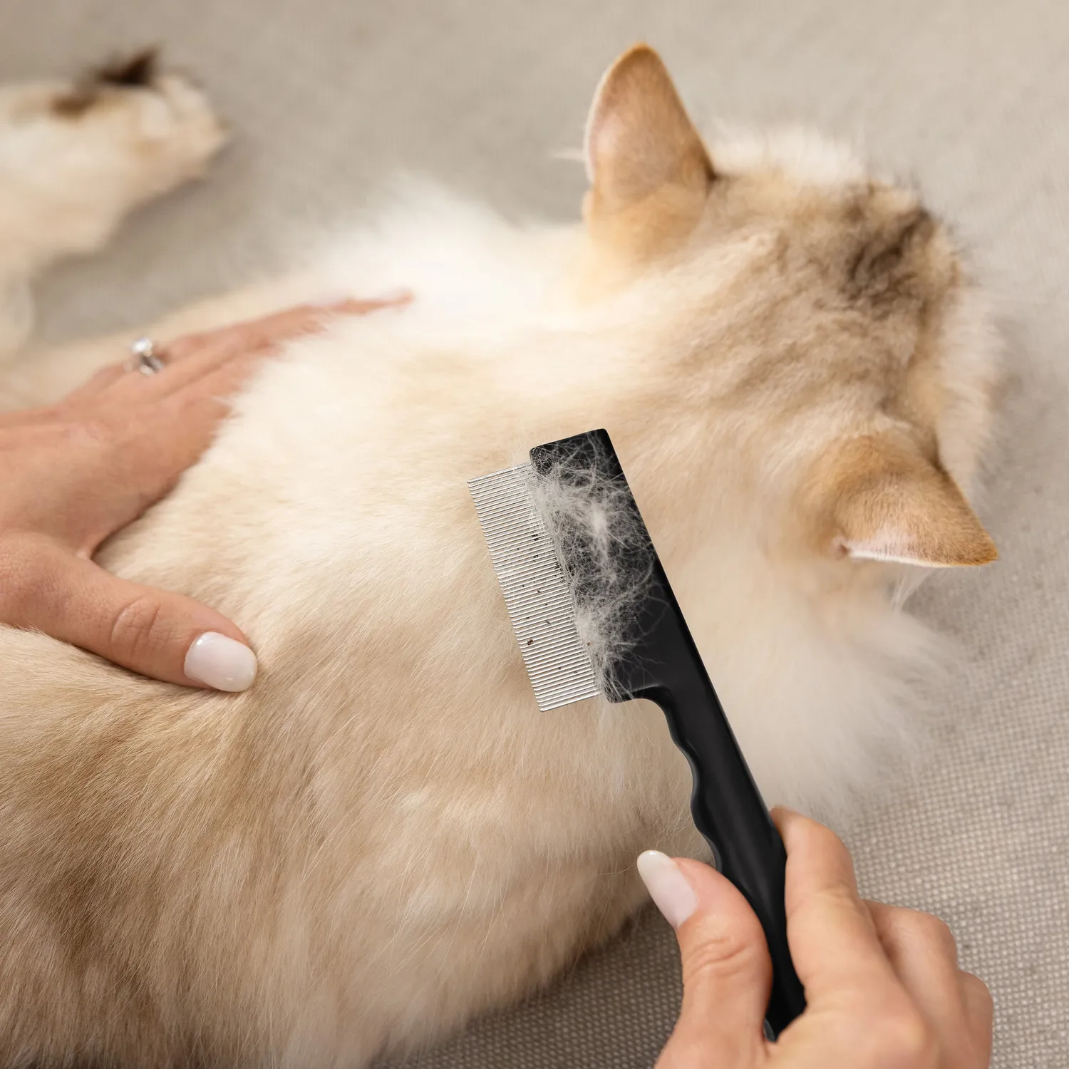 Tweezerman Pet Precision luskam hund katt